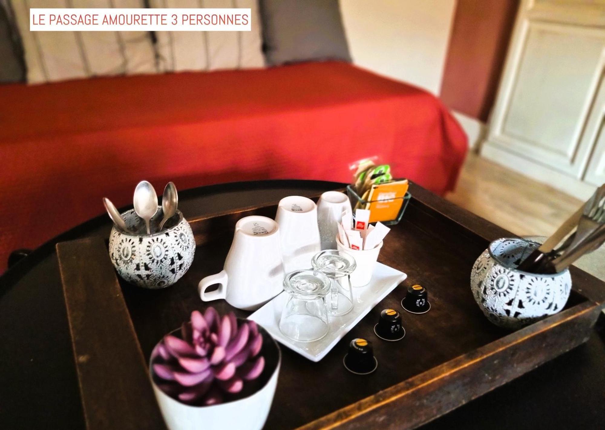 Bed and Breakfast Le Passage Carcassonne Exteriér fotografie